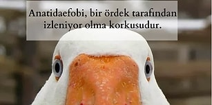 Hepsi Birbirinden Enteresan! Duyunca 'Bu da mı Varmış?' Diyeceğiniz En İlginç Fobiler