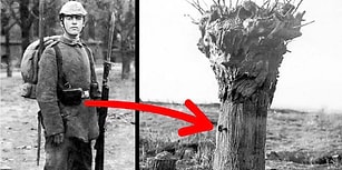 Öğrendiğiniz Zaman Dünyaya Bakış Açınızı Kökünden Değiştirecek Büyüleyici Gerçekler!