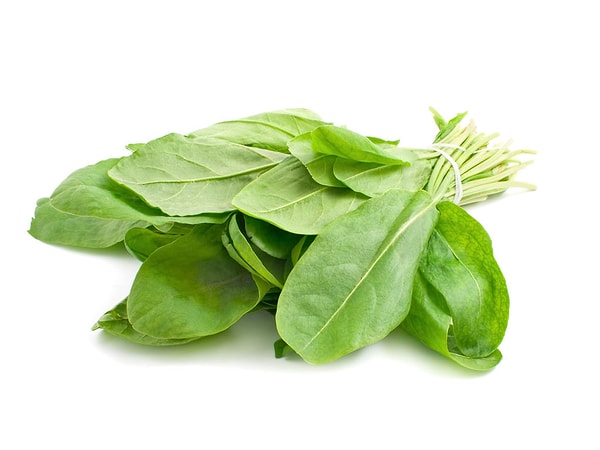 13. Признайтесь, вы до сих пор путаетесь с ударением в слове щавель, но вкус этого съедобного кислого растения помните еще как.