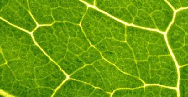 9. Это, конечно же, ...