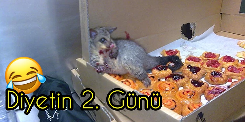 Kafalar Karışmış! Etkisinden Çıkamadıkları Garip Olayları Belgeleriyle Paylaşan 17 Şaşkın Kişi