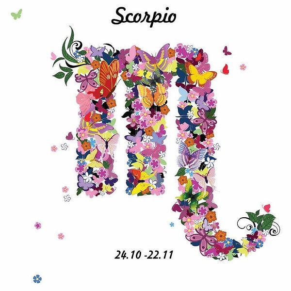 8. Скорпионы стремятся сохранять дистанцию со всеми и каждым