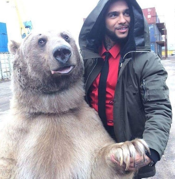 1. Говорят, стереотип о том, что в России медведи ходят по улицам, - всего лишь стереотип. Но это не совсем так.