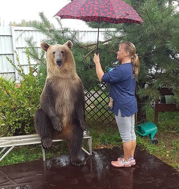 7. А ещё с ним можно делать всякие забавные фото!