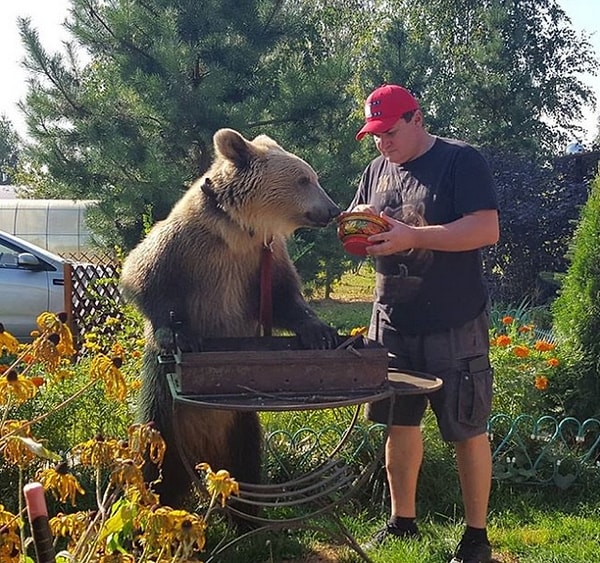 8. Ну не милашка ли? 😍