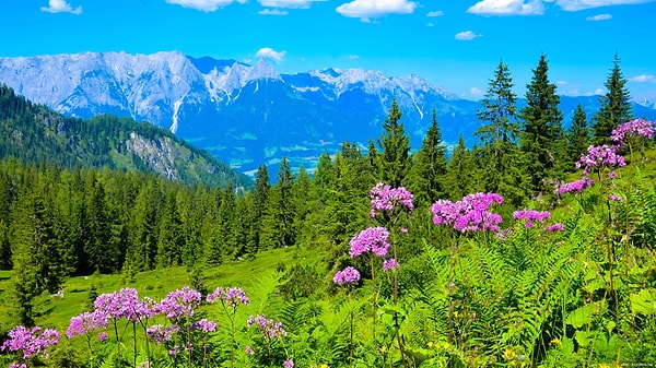 4. Выберите понравившийся оттенок: