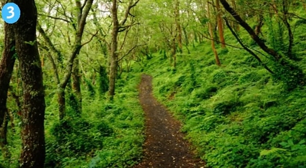 3. Если вы выбрали третью тропу: