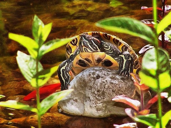 2. А на этой?