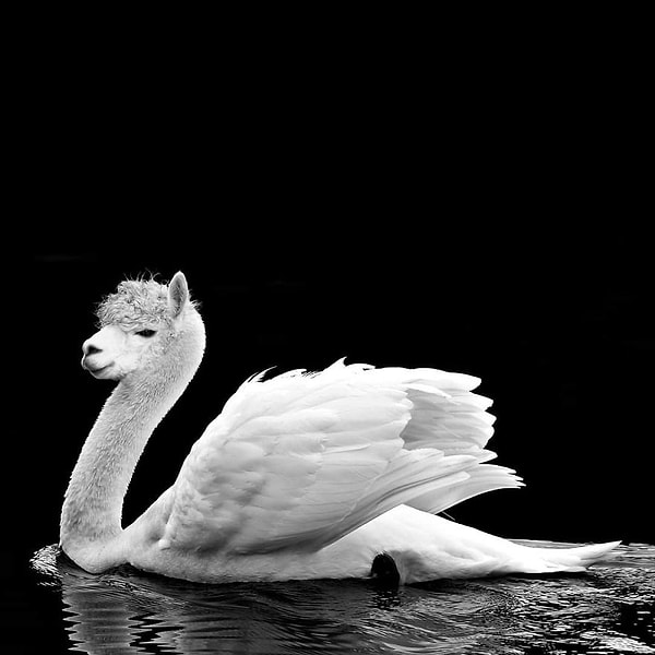 8. А вам какой вариант больше всех понравился? 😃 😄 😅