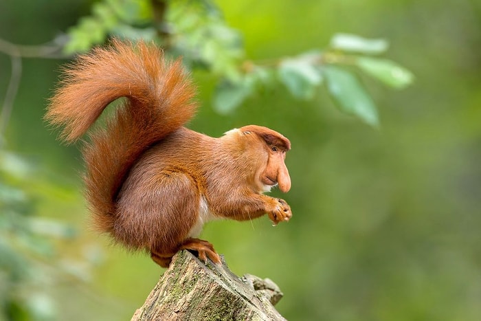 Когда фантазии нет предела: художник создает новые виды животных (к счастью, пока только на компьютере)