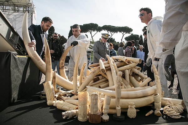 Команда, проводящая анализ и выявившая более 100 совпадений, разработала систему подвыборки, которая упростит дальнейшие исследования.