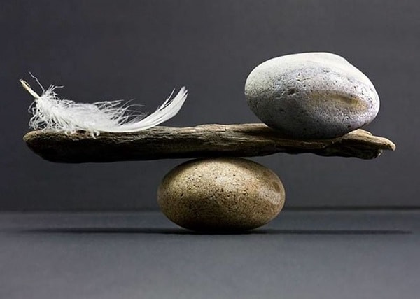 Если вы выбрали коалу...