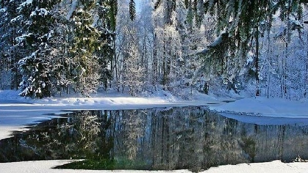 6. Какой цвет вы заметили первым на этой фотографии?