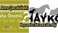 Bölüşürsek Tok Oluruz, Bölünürsek Yok Oluruz! İnsanlara Dokunabileceğiniz 10 Sivil Toplum Örgütü