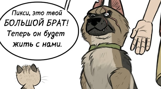 Милые и смешные комиксы про дружбу котенка Пикси и военного пса Брута, которые сделают ваш день