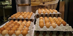 Yumurtaya Zam Kapıda: 'Elimizde Bir Aylık Ambalaj Stoku Kaldı'