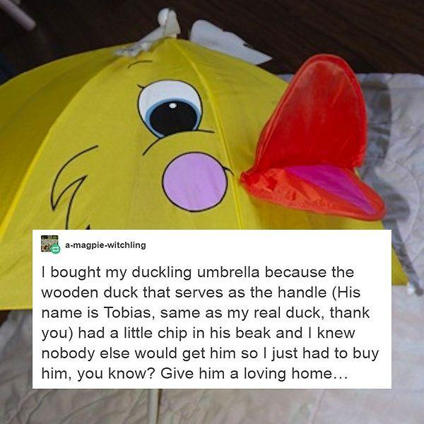 9. Give the duck a loving home!