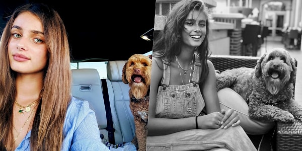 У Тейлор есть собака, фото с которой она постоянно выкладывает на своей страничке в Инстаграм.