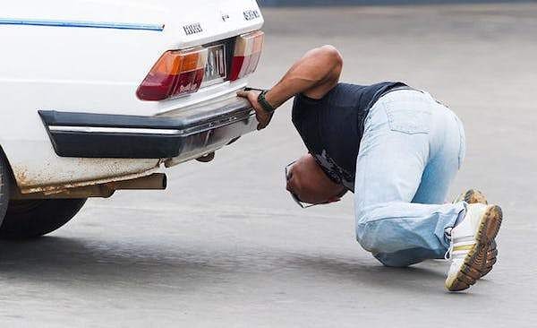 18. В Дании водители должны проверить дно перед запуском автомобиля.