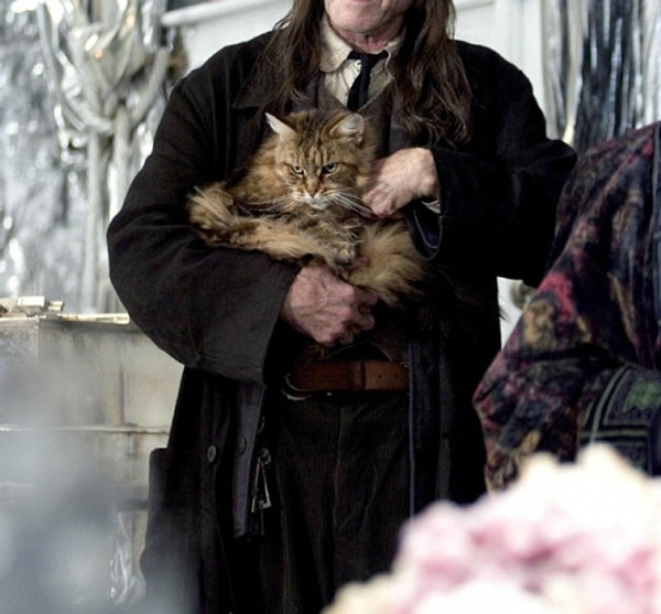 6. Продолжаем! Из какого фильма эта кошка?