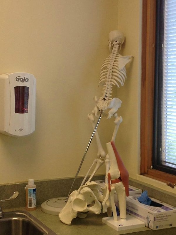 8. "Мой отец пришёл на колоноскопию. А этот скелет заставил его нервничать еще больше".