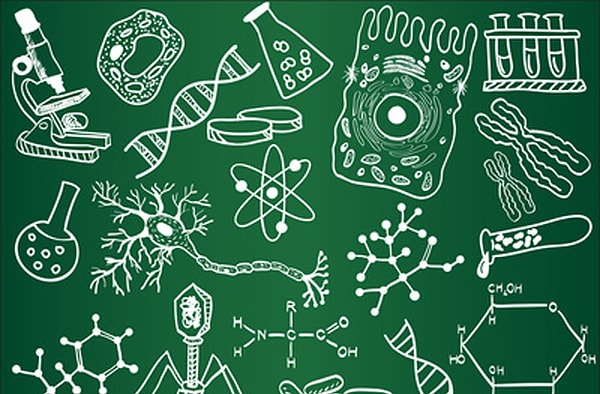 5. Процесс репродуктивного деления клетки называется…