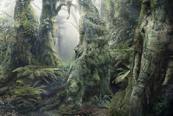 А вот еще животные, которые любят поиграть в прятки.