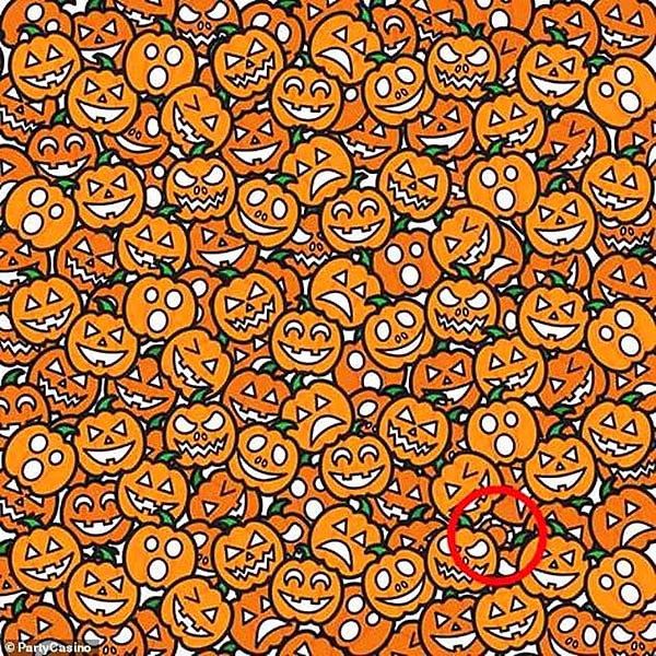 Посмотреть ответ: