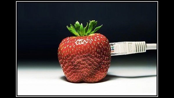 1. Весь интернет хранится и поставляется с помощью 540 миллиардов триллионов электронов. Общая масса всех этих электронов составляет около 50 граммов. Столько же весит одна клубника...