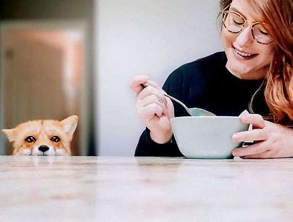 13. "Я тоже хочу есть".