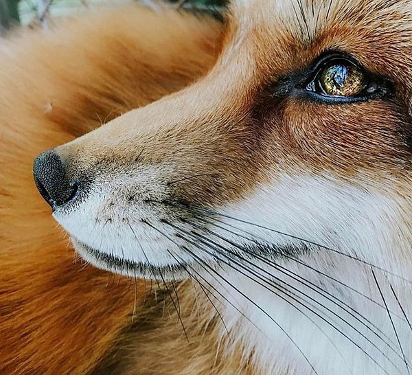 16. Вот это взгляд...