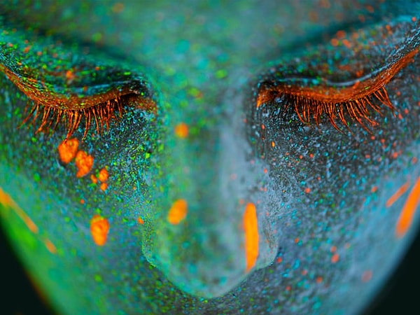 Вы смотрите на мир глазами одаренного человека!