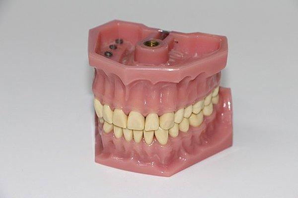 16. Vermont'ta kadınlar, takma diş sahibi olabilmek için eşlerinden yazılı izin almak zorunda!