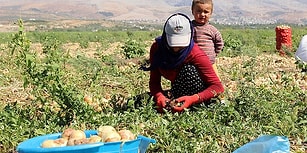 Çift Hanelerde Artışını Sürdürüyor: İşsizlik Oranı %11,6 Seviyesine Yükseldi