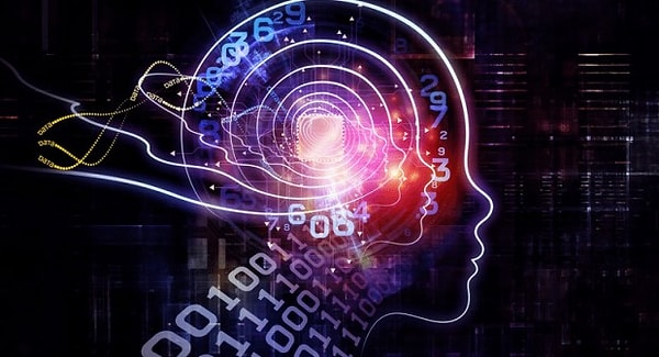 5. Выберите правильный вариант.