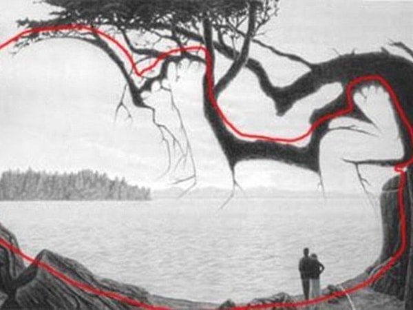 Посмотреть ответ: