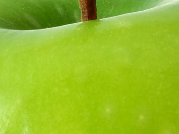 5. Каковы ваши предположения?