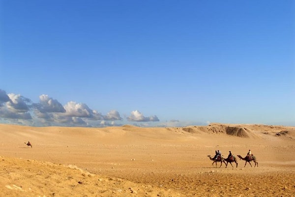 5. Это, конечно же...