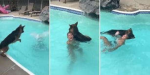 Boğulduğunu Düşündüğü İnsan Dostu İçin Anında Havuza Atlayarak Kurtarma Girişimini Başlatan Köpek
