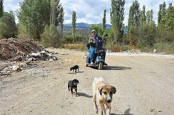 14. Konya'da yaşayan Rukiye Bağcı, sokak hayvanlarını besleyip onlara su taşıyan güzel yürekli bir teyzemiz.