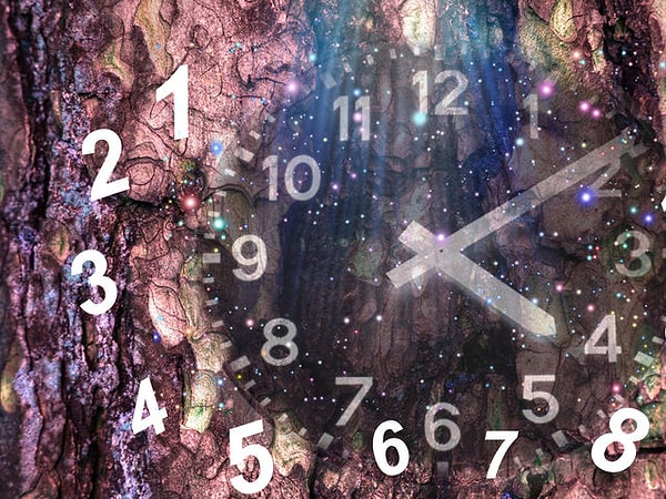 7. Выберите число: