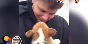Hediye Olarak Yavru Bir Köpek Alan İnsanların Yaşadıkları Efsane Mutluluk Anları