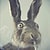 buny690