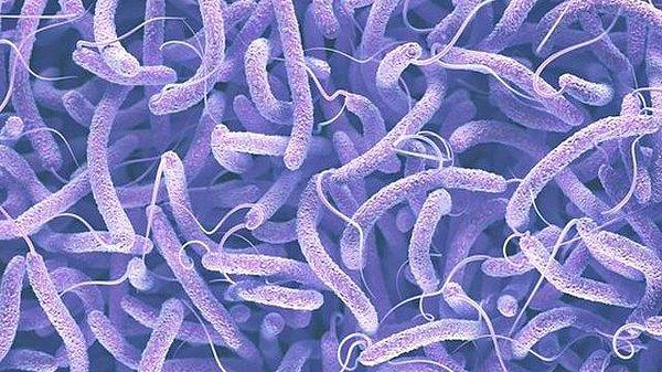 15. 110.000 kişi - Birinci Kolera Pandemisi (1817 - 1823)