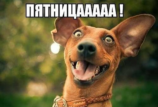 6. Какая рифма больше всего подходит к слову ПЯТНИЦА?