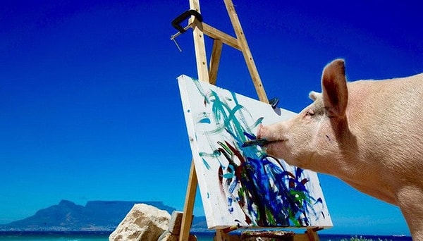 7. Женщина поместила ее на своей ферме и купила разные игрушки и кисти для рисования, которые и привлекли больше всего внимание свиньи