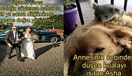 Hayatlarındaki En Önemli Anları Fotoğraflamış 16 Kişi ve Onların İçe Dokunan Hikayeleri