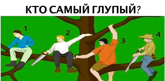 Тест: Кто самый глупый на дереве? Сделайте выбор, а мы проведём психологический анализ вашей личности