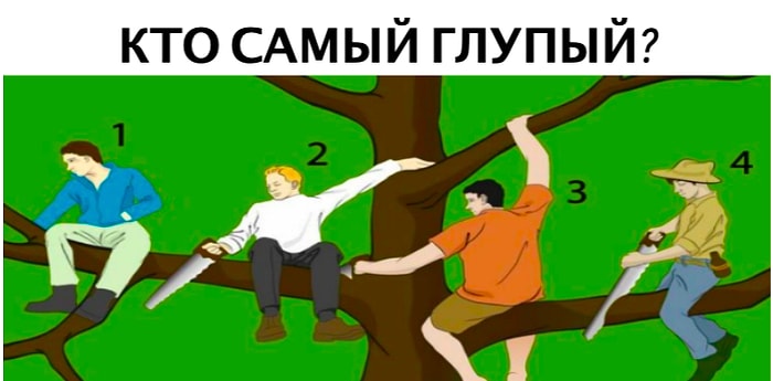 Тест: Кто самый глупый на дереве? Сделайте выбор, а мы проведём психологический анализ вашей личности