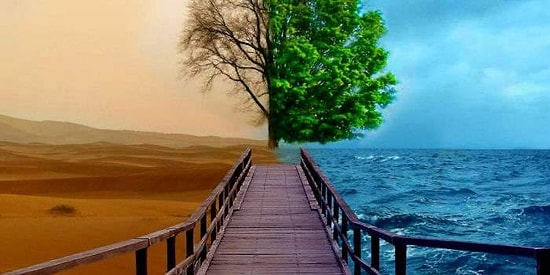 Тест: Ответьте на вопросы, а мы одной фразой опишем историю вашей жизни